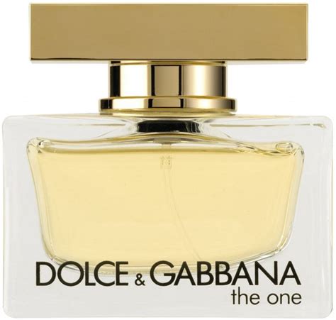 dolce gabbana the one eau de toilette 100ml|the one dolce gabbana fragrantica.